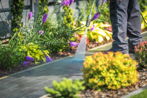Best Dumpster Area Cleaning  in Valle Vista, CA