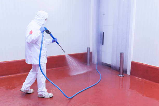 Best Paint Preparation  in Valle Vista, CA