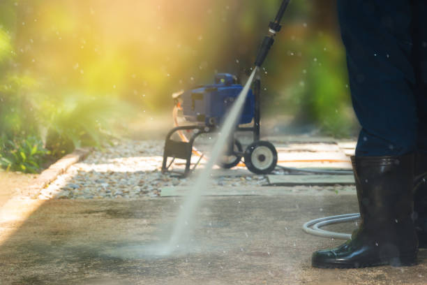 Best Animal Enclosure Cleaning  in Valle Vista, CA